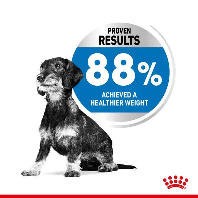 Royal Canin Medium Ageing 10+ Dry Dog Food - 3 kg - Pet Supply